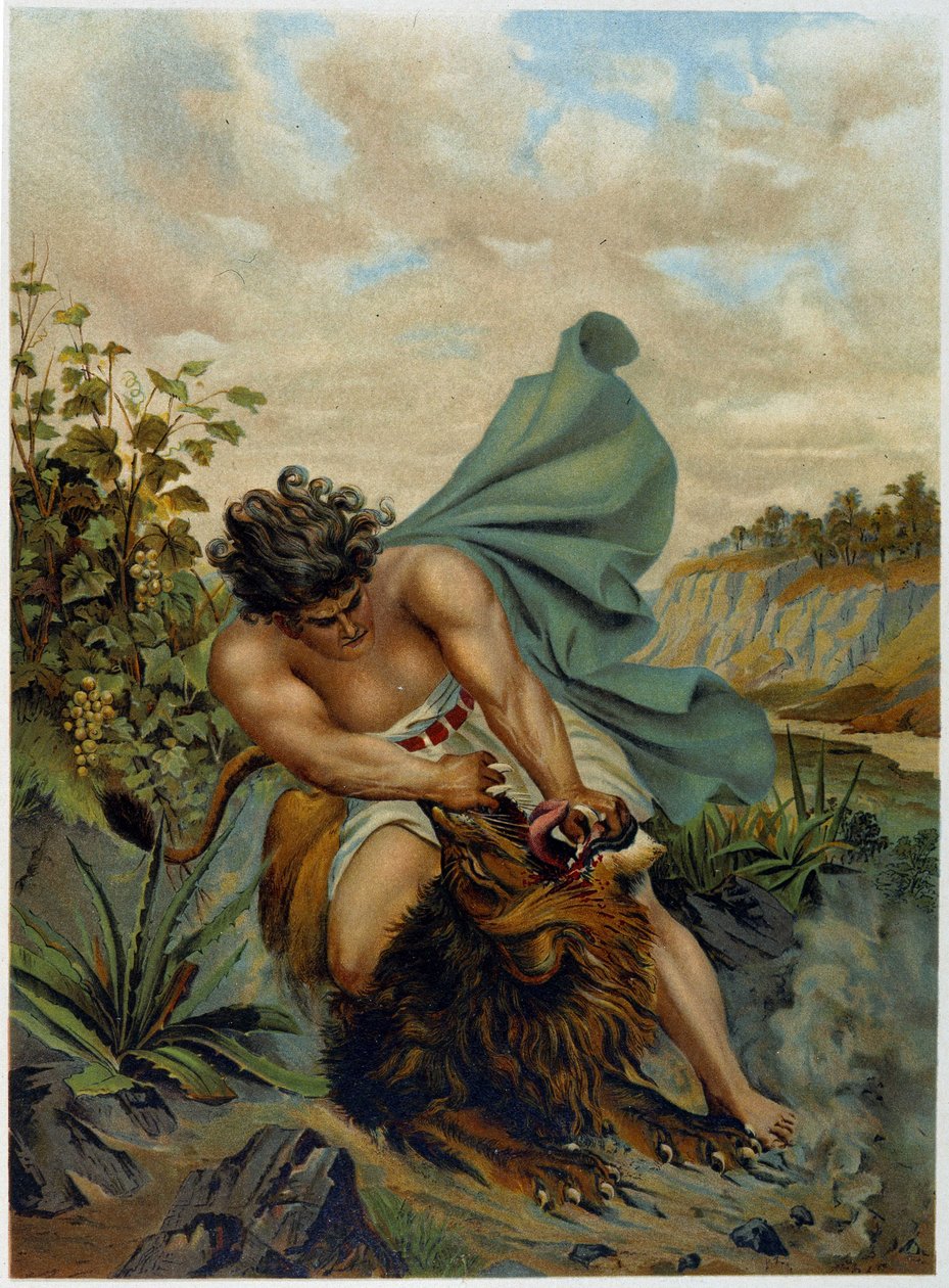 David fighting against a lion in “Aurea Bibbia classica: storia della rivelazione divina nell