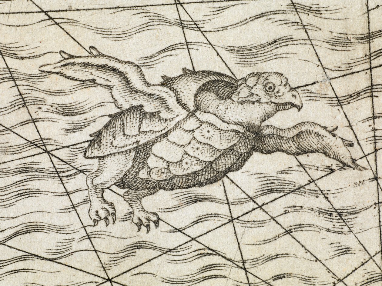 北欧地图上的飞龟细节，出自《Septentrionalium Regionum Suetiae, Gothiae, Norvegiae, Daniae et terrarum adjacentium recens exactaque descriptio》。M. Tramezini formis 作者 意大利学校
