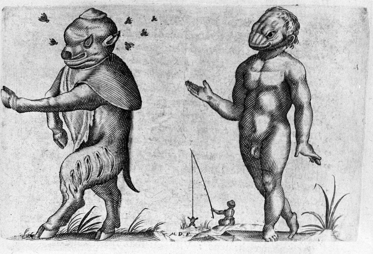 不同类型的人类怪物。 雕刻意大利科学家 Fortunio Liceti（1577-1656）的“怪物性质、原因和差异”。 1646 作者 意大利学校