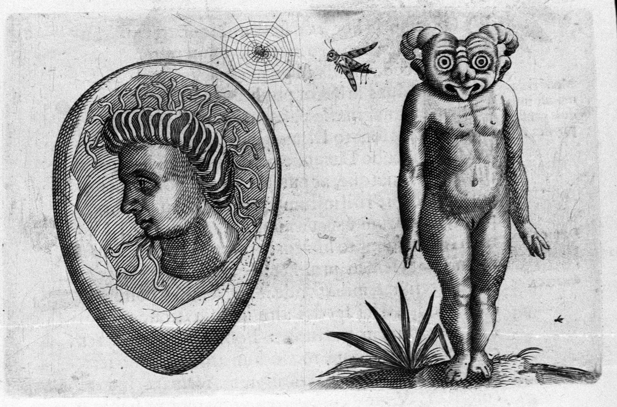 人类怪物的不同类型：一个化石人和一个怪物。意大利科学家Fortunio Liceti (1577-1656)的《De monstrorum natura, causis et differentiis》中的雕刻。1646 作者 意大利学校