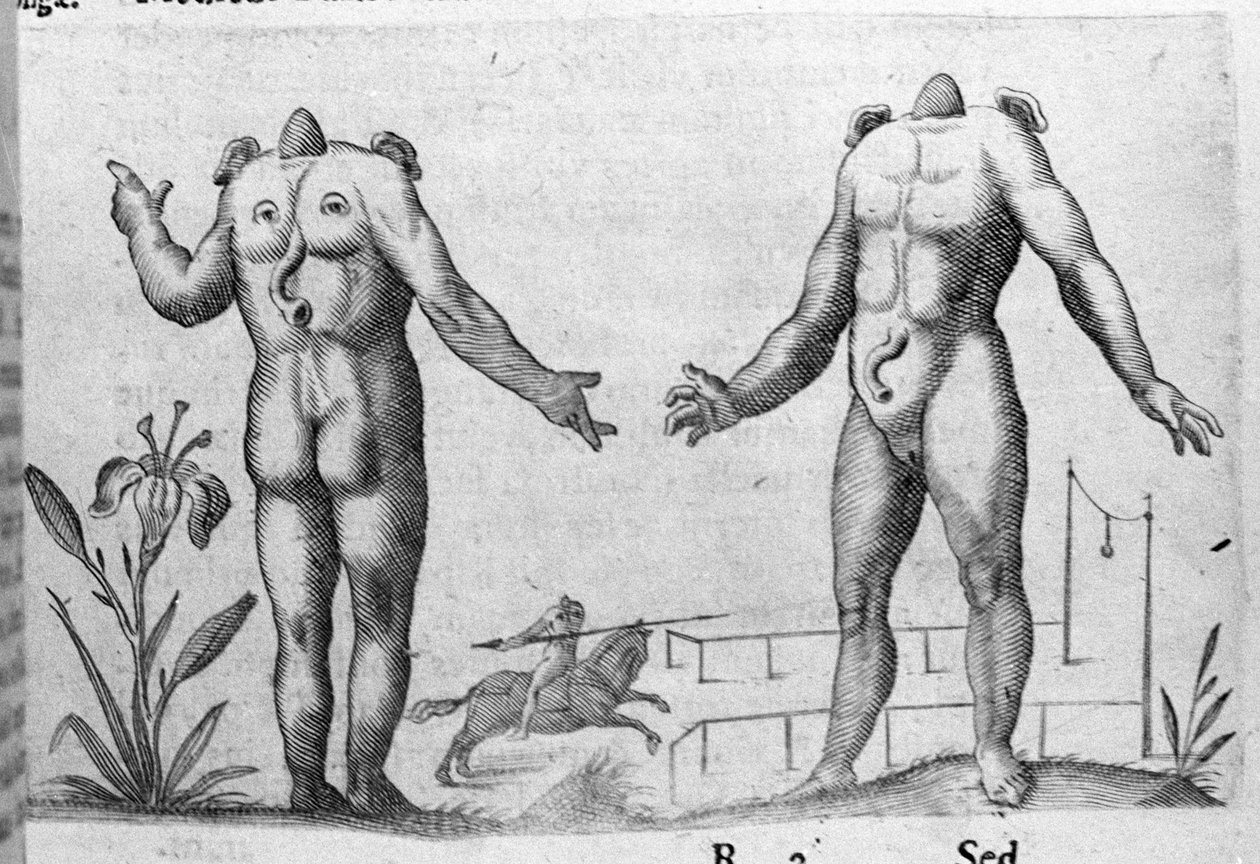 人类怪物的不同类型：一个没有头的人。意大利科学家Fortunio Liceti (1577-1656)的 "De monstrorum natura, causis et differentiis "版画。1646 作者 意大利学校
