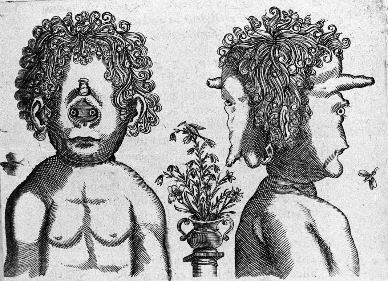 不同类型的人类怪物：怪物头的脸和脸。 雕刻自意大利科学家 Fortunio Liceti (1577-1656) 的“De monstrorum natura, causis et differentiis”。 1646 作者 意大利学校