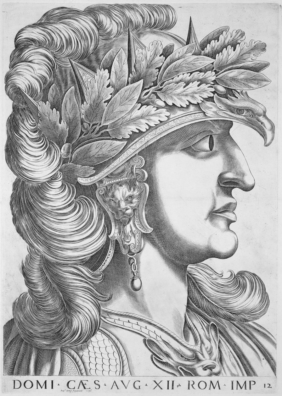 Domitian Caesar（公元51-96），1596年 作者 意大利学校
