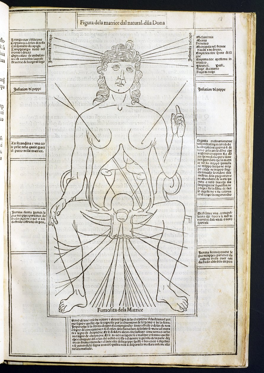 来自Fasciculus Medicinae的女性解剖学Johannes de Ketham（dc1490）c.1507 作者 意大利学校