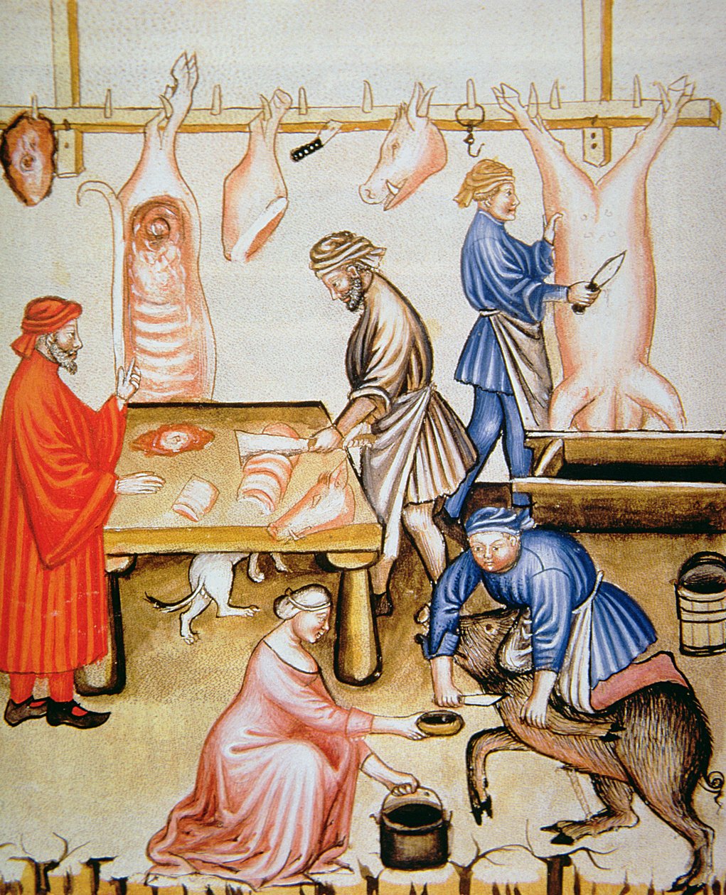 Fol.74v The Butchers：Pig Meat，来自Tacuinum Santiatis Codex Vindobonensis的插图 作者 意大利学校