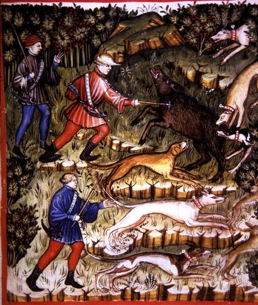 第96页 狩猎动物，来自《Tacuinum Santiatis Codex Vindobonensis》（牛皮纸）的插图 作者 意大利学校