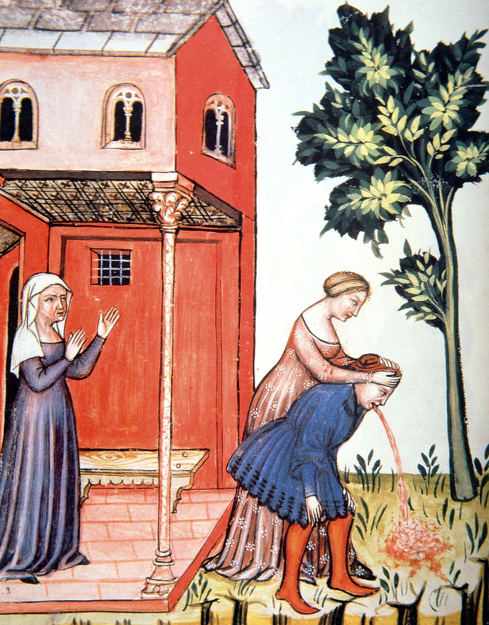 Fol.99v投掷，插图来自Tacuinum Santiatis Codex Vindobonensis 作者 意大利学校