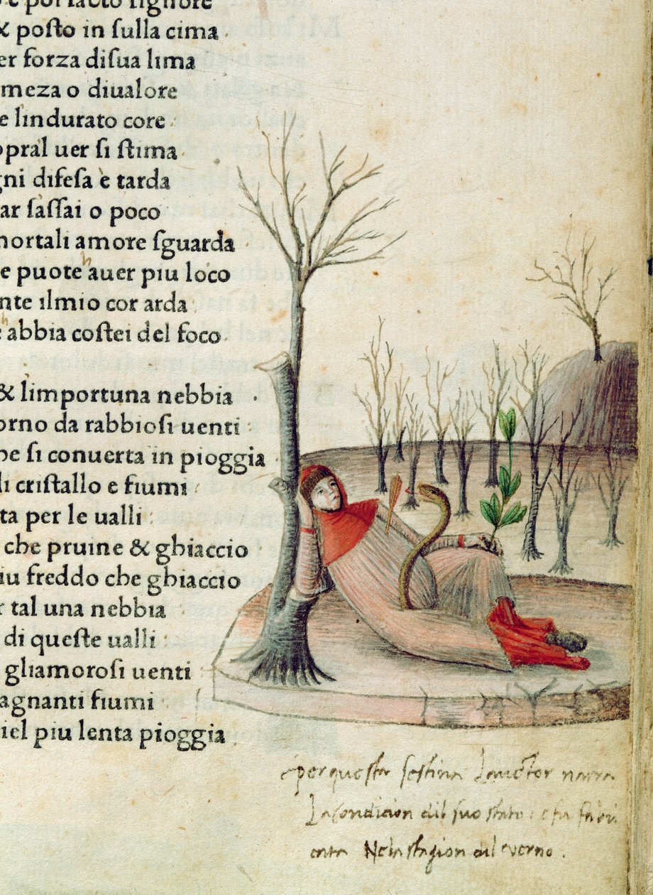 福尔。 52r 选自彼特拉克的《Canzoniere e Trionfi》，c.1470 作者 意大利学校