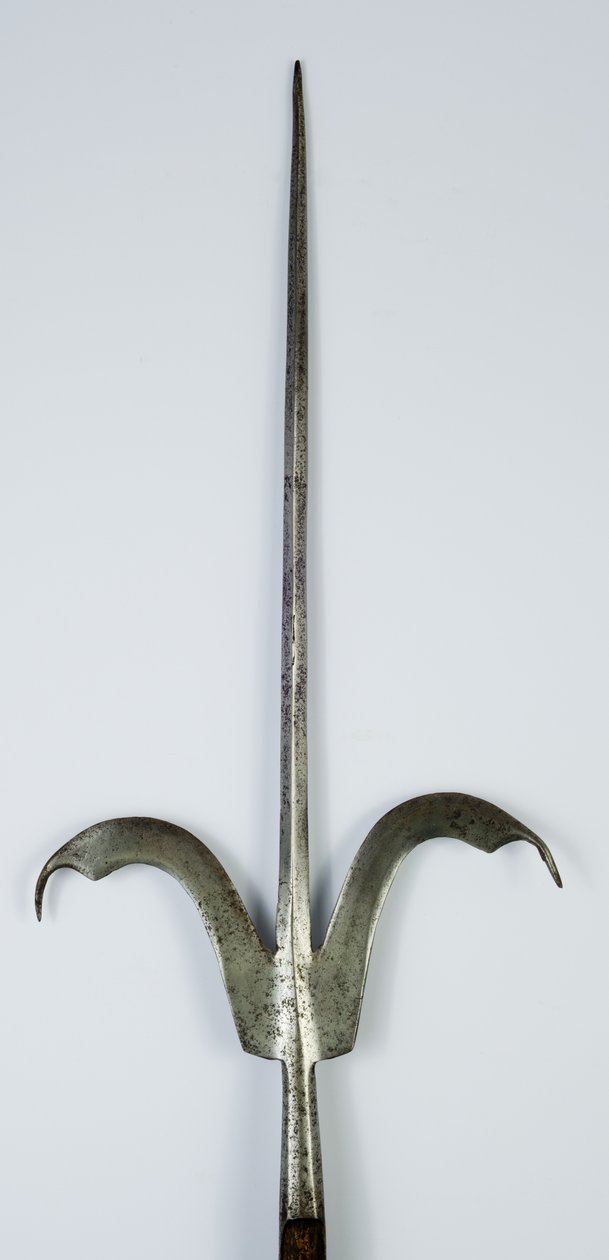 弗留利·斯皮尔（Friuli Spear），约1600年（钢铁和木材） 作者 意大利学校