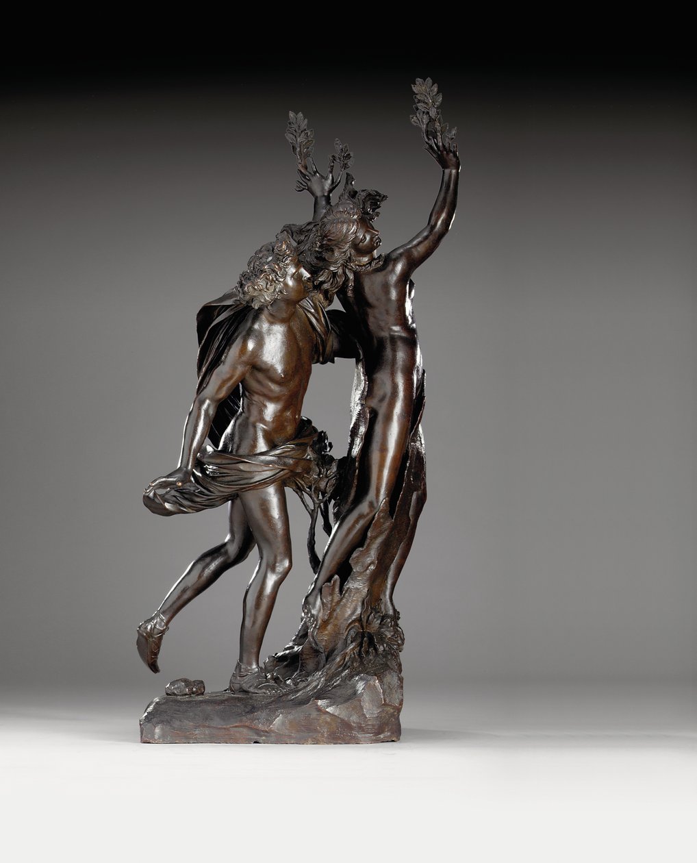 阿波罗（Apollo）和达芙妮（Daphne）的组合，约写于Gianlorenzo Bernini，约1722年 作者 意大利学校