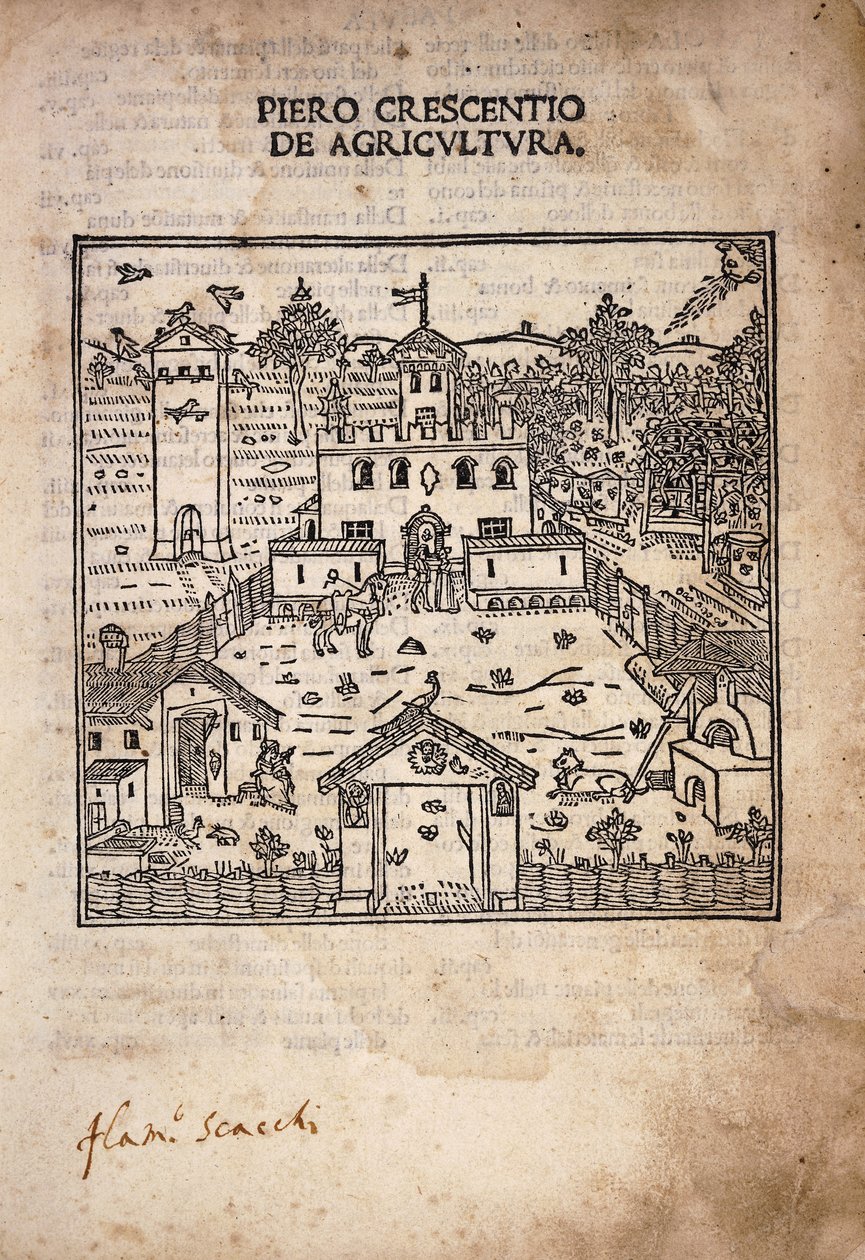 《De Agricultura》扉页插图 作者 意大利学校