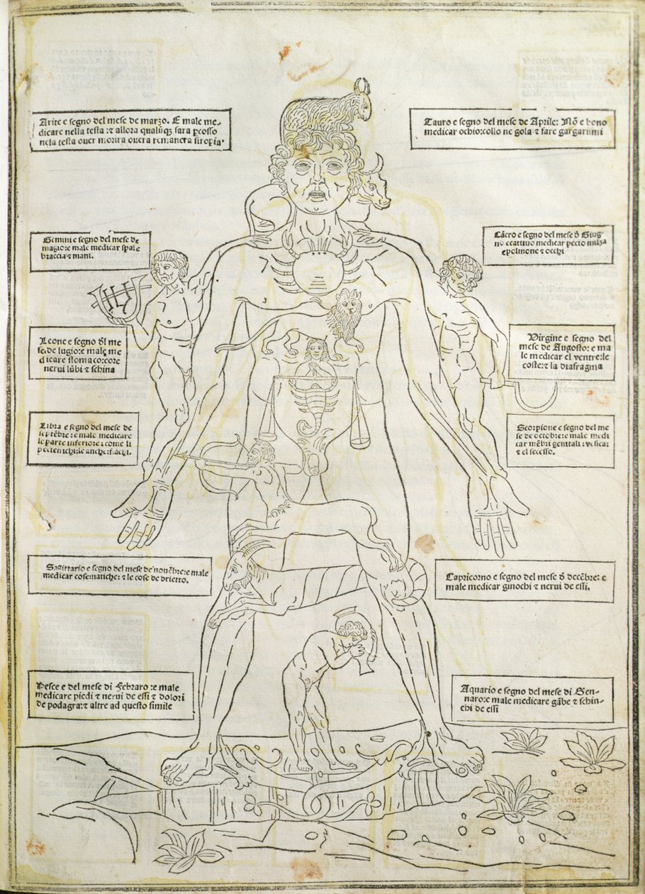 插图来自威尼斯“Fassiculus Medicinae” 作者 意大利学校