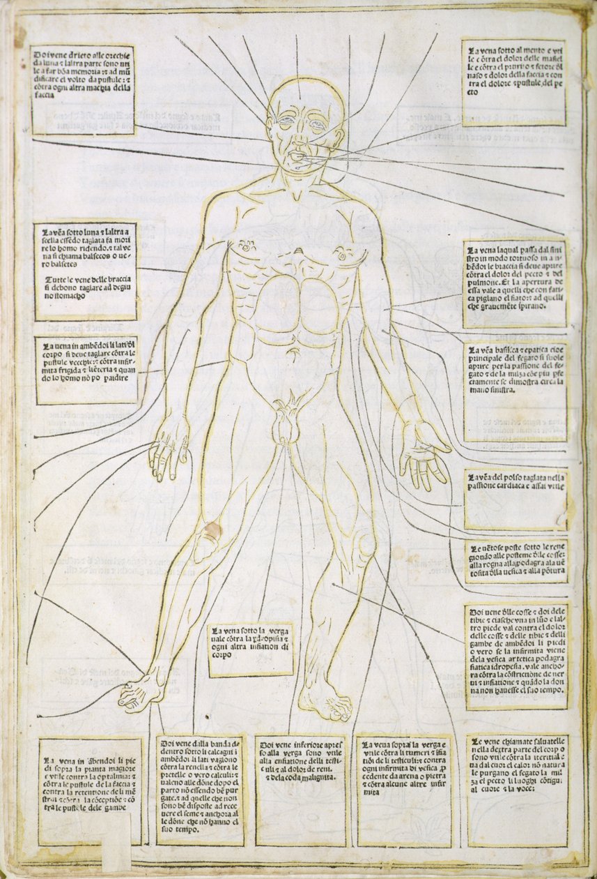 插图来自威尼斯“Fassiculus Medicinae” 作者 意大利学校