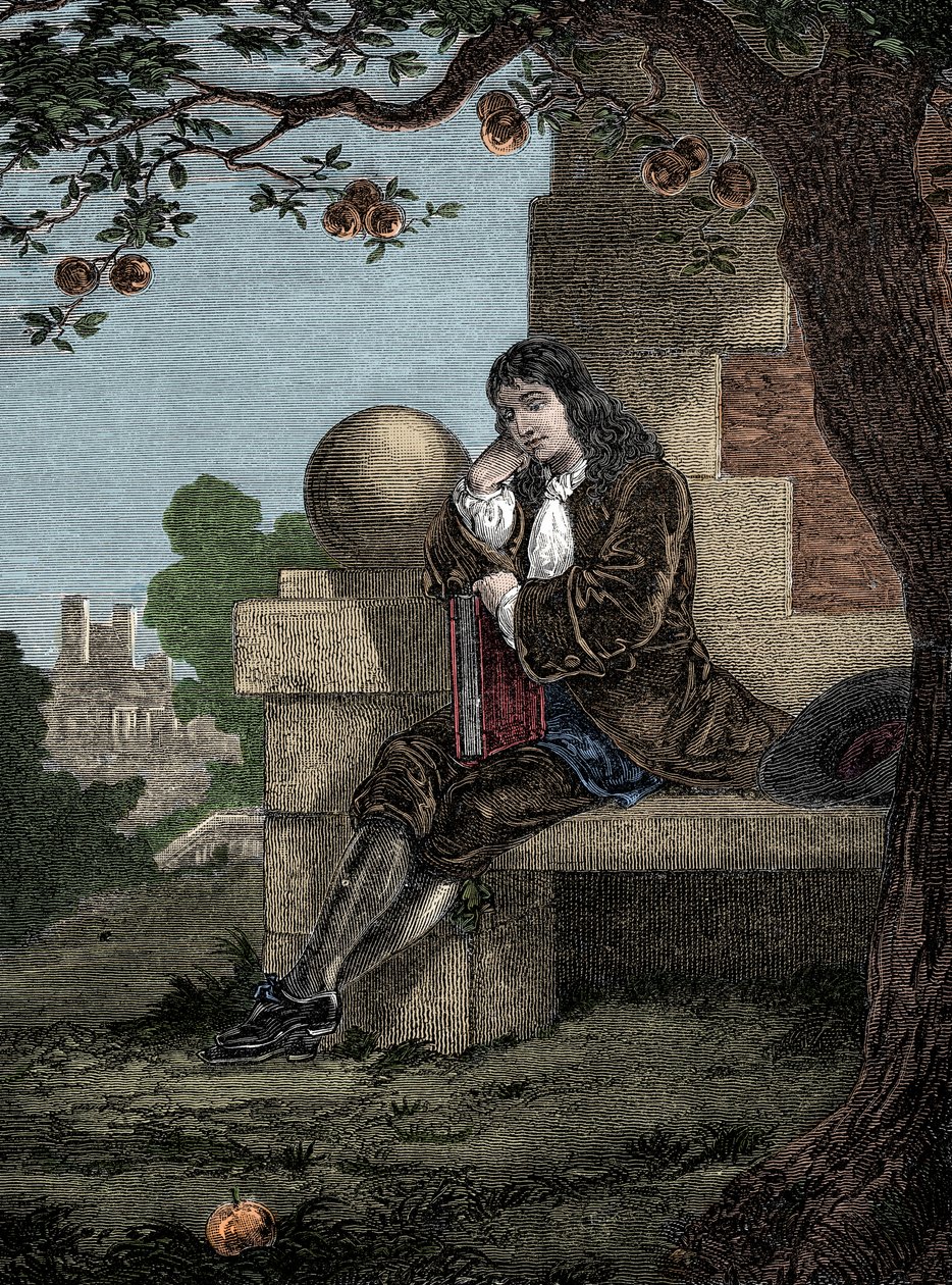 艾萨克·牛顿（Isaac Newton）观察到一棵苹果落在树下时落在地上 作者 意大利学校