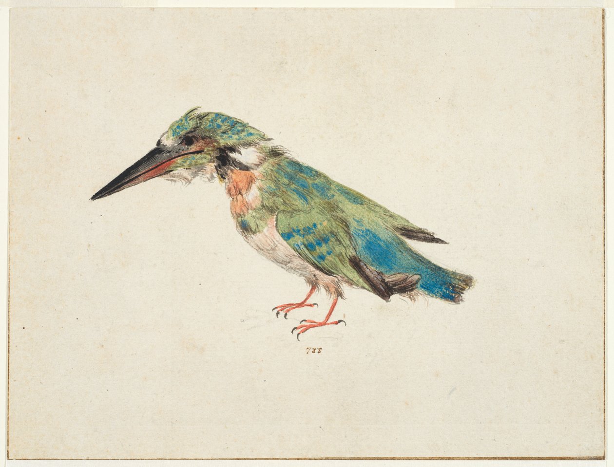 Kingfisher, c.1650-99 (black chalk, watercolor, bodycolour on laid paper, laid down, with brown ink framing lines on three edges)   1474719   zh       chinese Successfully Translated  Original: A Falconer Translat: A Falconer 1436656 zh chinese Successfull 作者 意大利学校