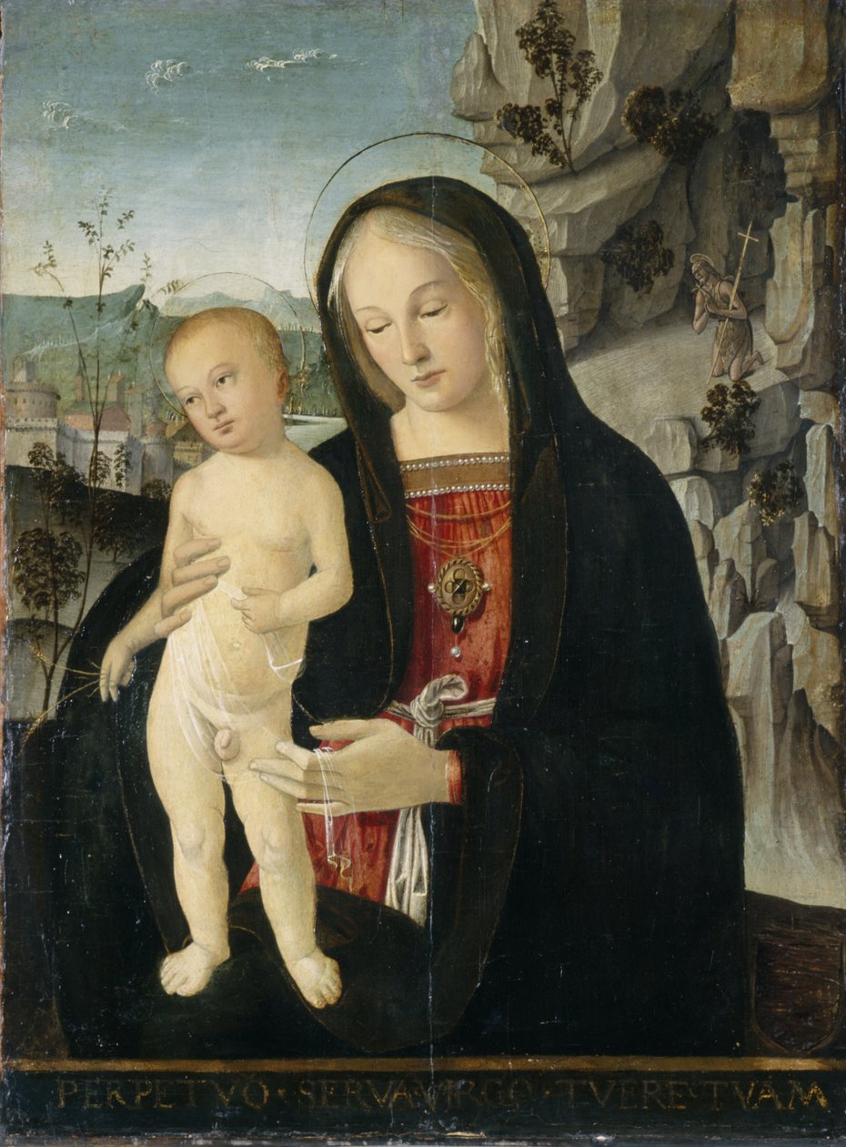 麦当娜和儿童，c.1500（杨木上的蛋彩画） 作者 意大利学校