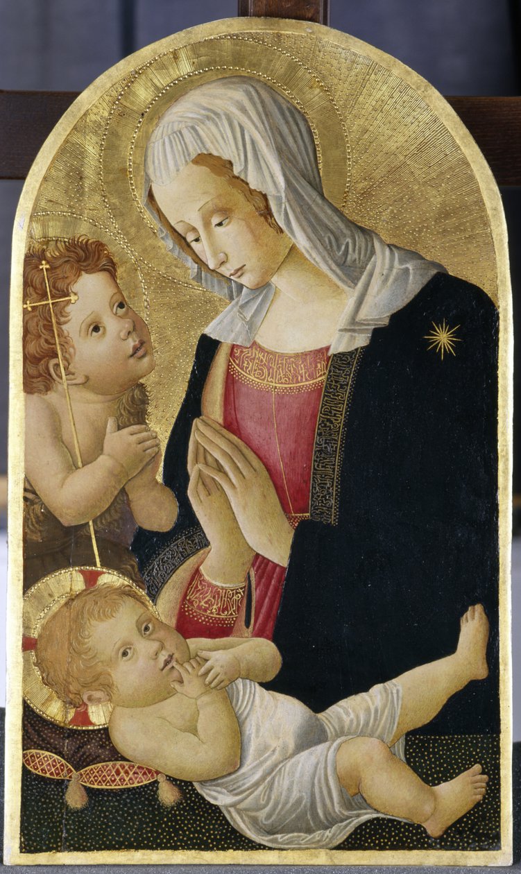 麦当娜和圣婴与施洗者约翰，c.1460（白杨木蛋彩画） 作者 意大利学校