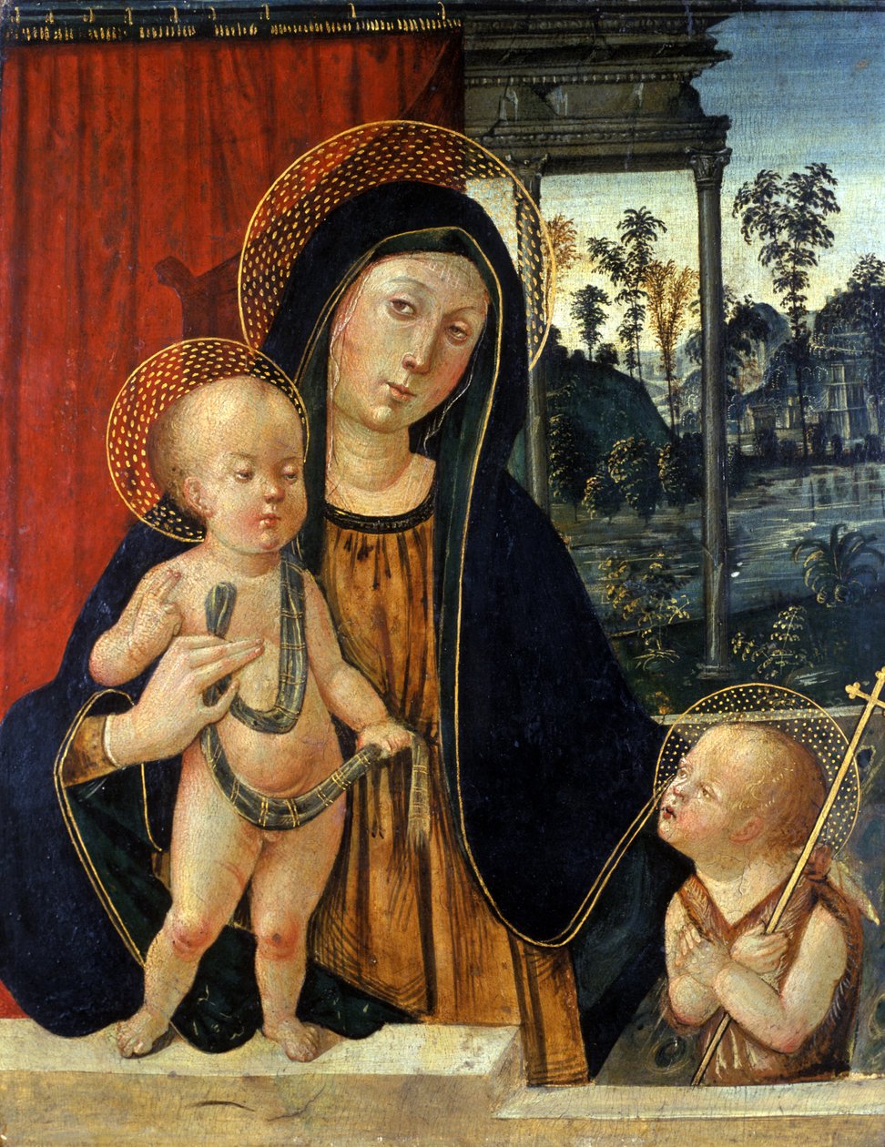 麦当娜和儿童与年轻的施洗约翰，c.1500（白杨树上的蛋彩画） 作者 意大利学校