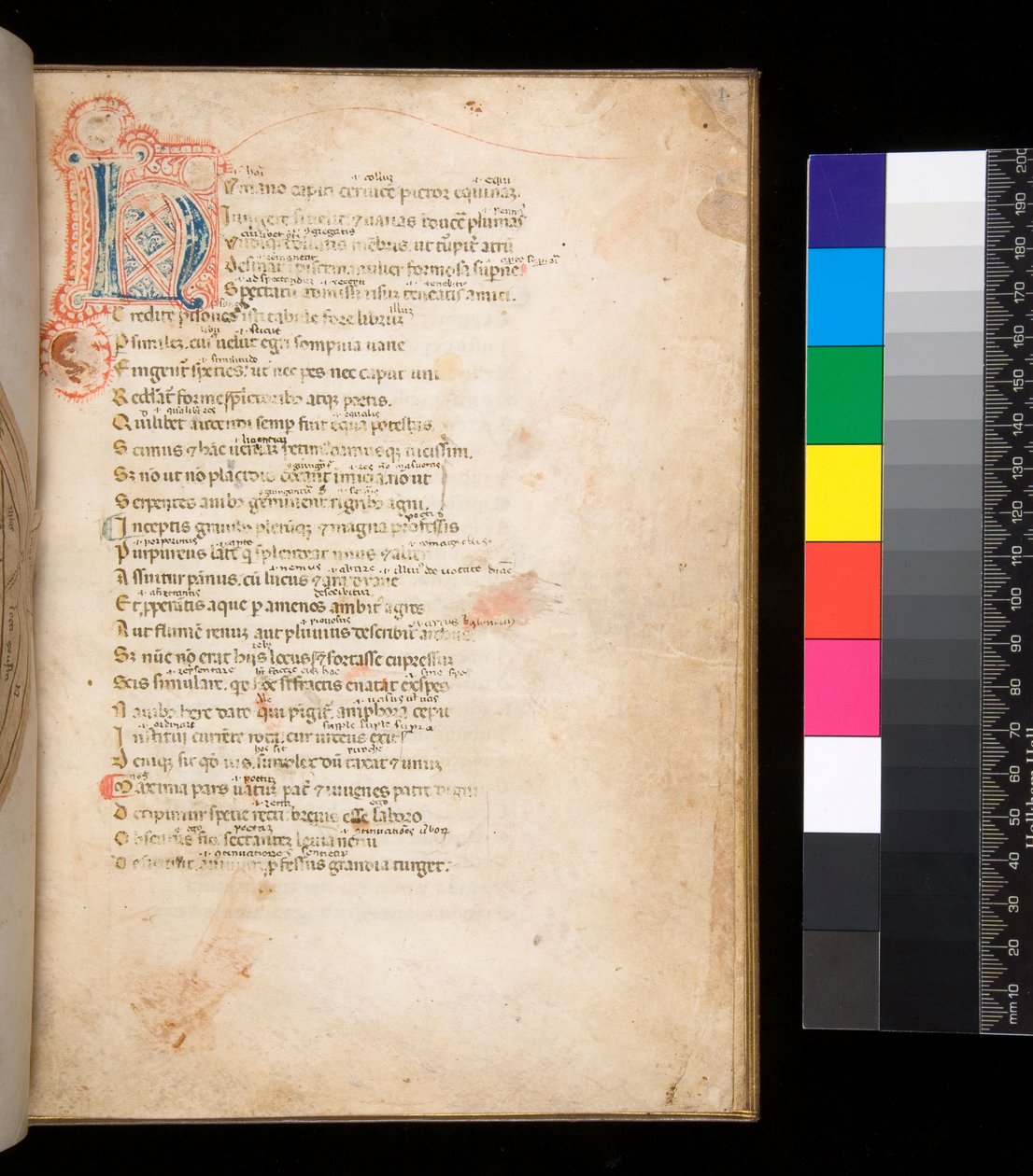 Ms 315. Horace, Ars Poetica and Epistulae, f.1r. Decorated initial [N] in blue and red diapered infill and surrounding penwork in red 作者 意大利学校