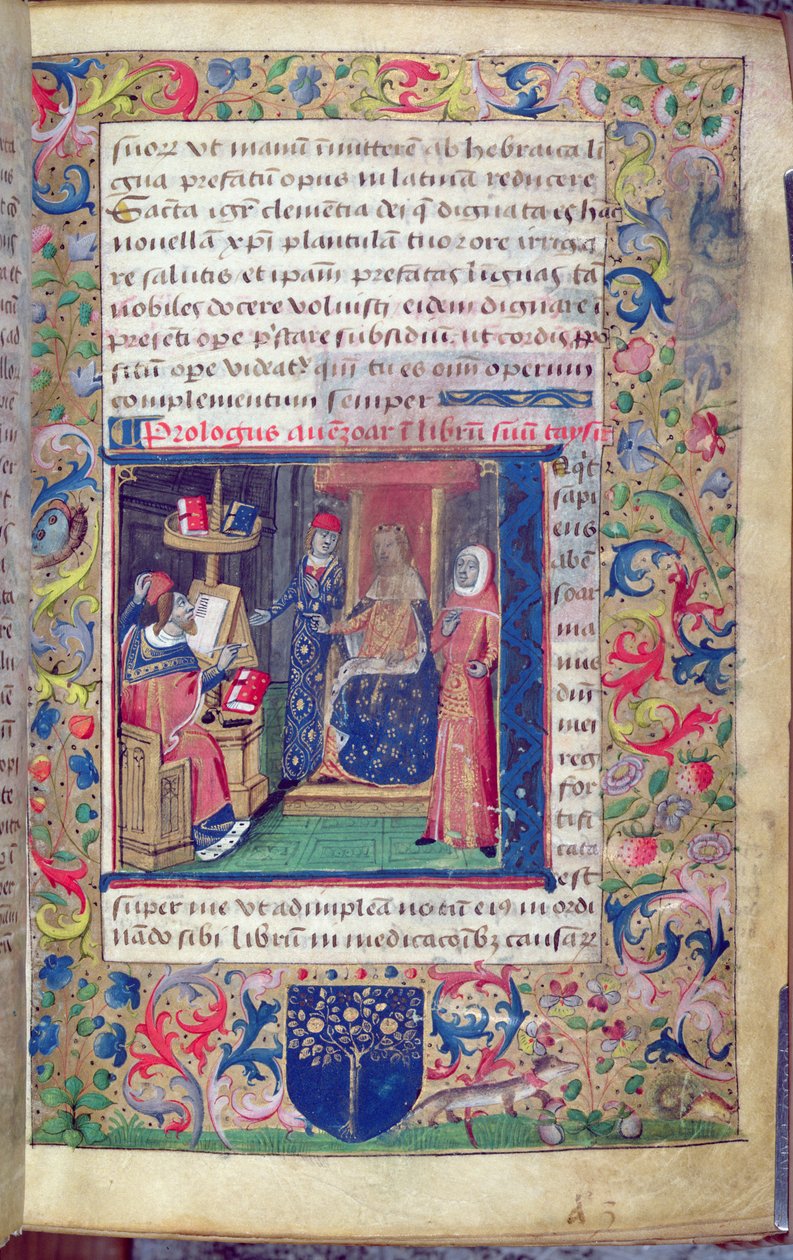 卡普亚的约翰（约 1262 年）向他的赞助人赠送他将 Ibn Zuhr (Avenzoar)（1091-1161 年）的疾病论文 "Al-Taisir "翻译成拉丁文的赠礼（牛皮纸） 作者 意大利学校