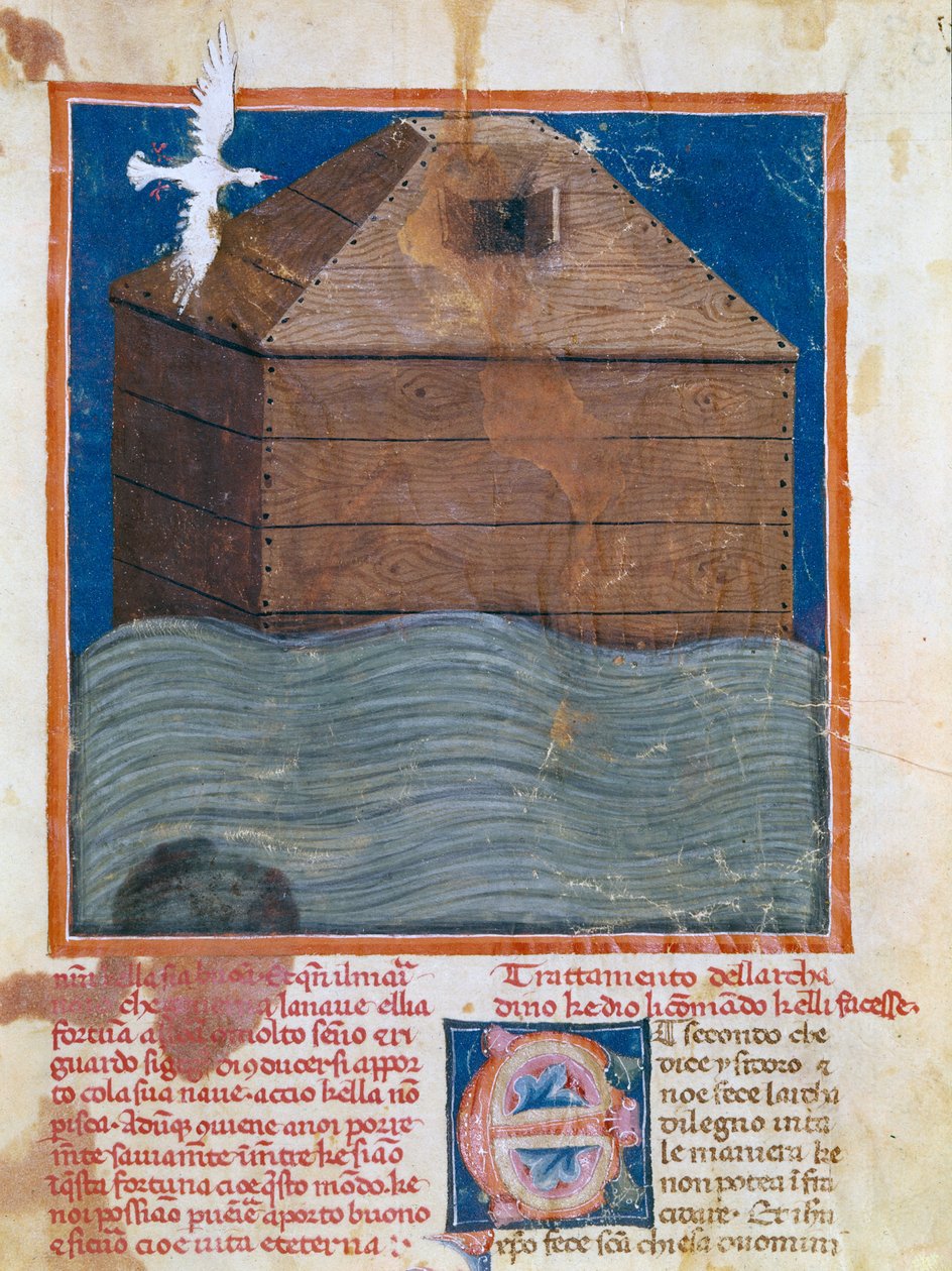 女士II.VI.16，c.83a，Noah&39;s Ark 作者 意大利学校