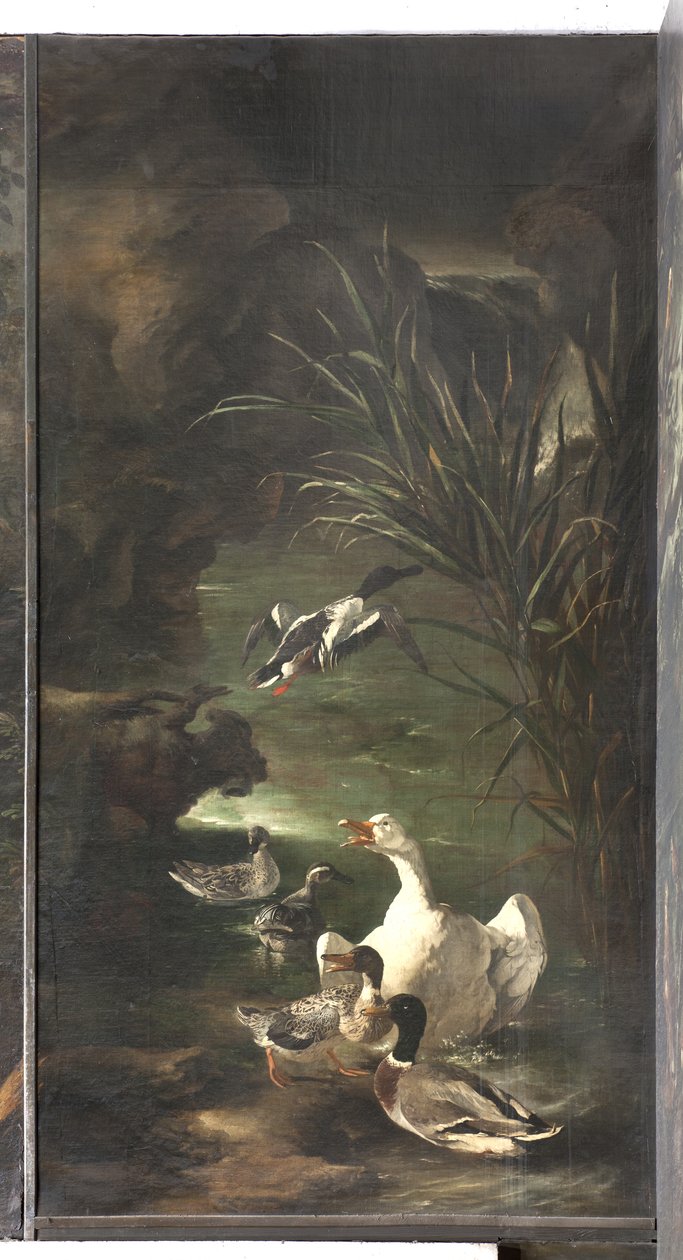 俄耳甫斯的神话：天鹅和鸭子，c.1650-60 作者 意大利学校