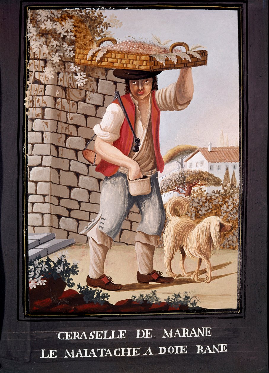 Neapolitan metiers: the seller of cherries from Marasca - (Old trade: the marasca cherries seller) Watercolour of the 19th century - Naples Museo Nazionale di San Martino 作者 意大利学校