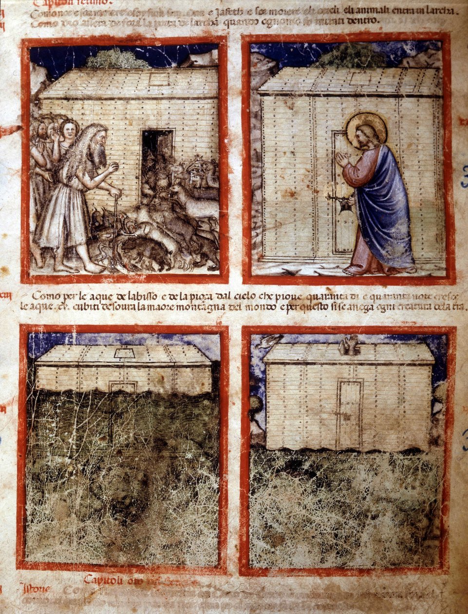 诺亚方舟，缩影取自抄本 212（或帕多瓦诺抄本或帕多瓦圣经）1390-1400 Rovigo，Accademia dei Concordi 作者 意大利学校