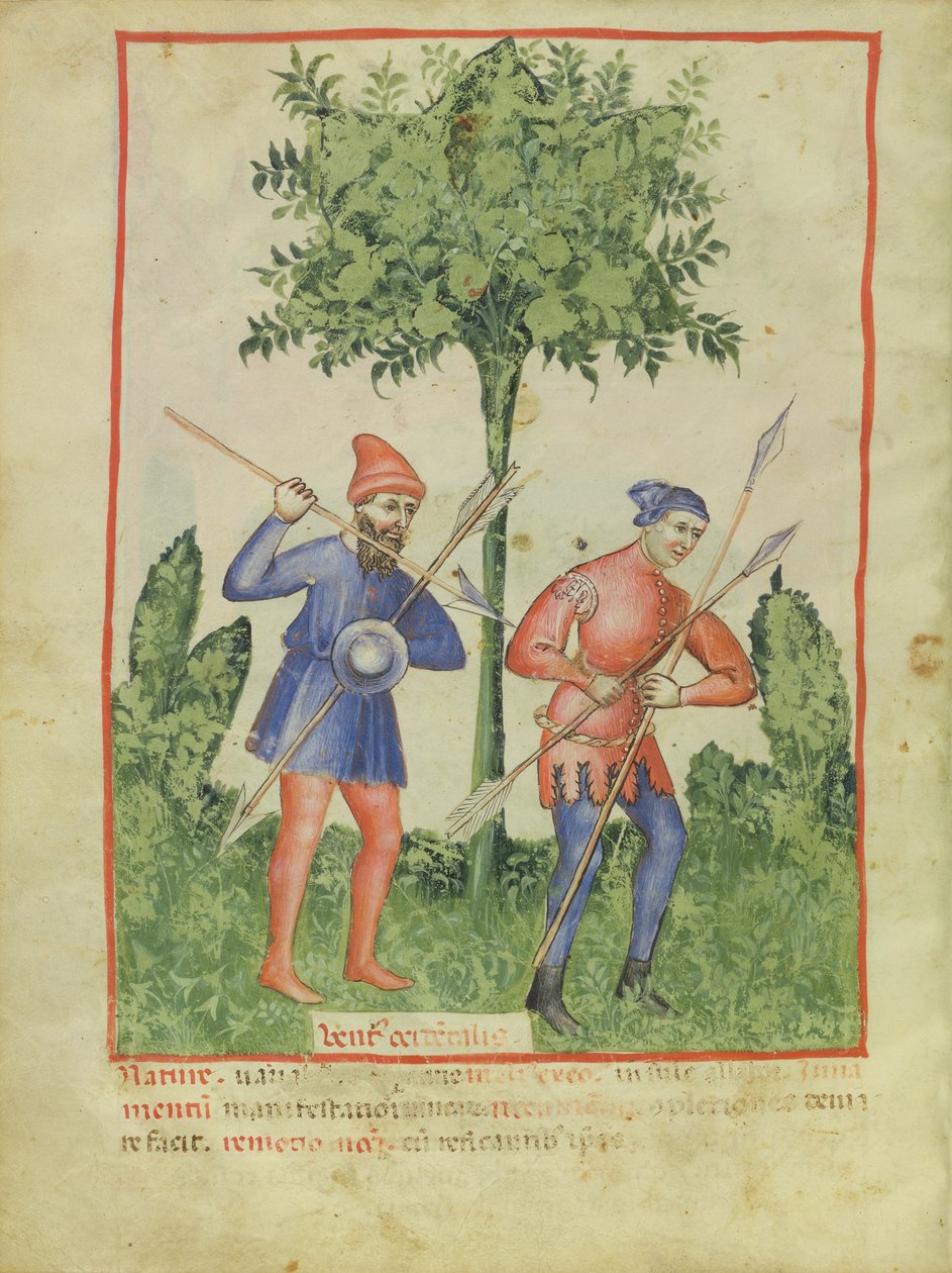 Nouy ACQ纬度1673 fol.100v西风，从Tacuinum健康，c.1390-1400 作者 意大利学校
