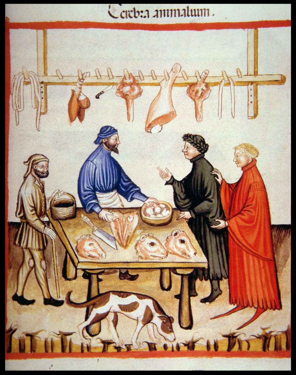 Nova 2644 fol.77r屠夫店，出售大脑，来自Tacuinum Sanitatis Codex Vindobonensis 作者 意大利学校