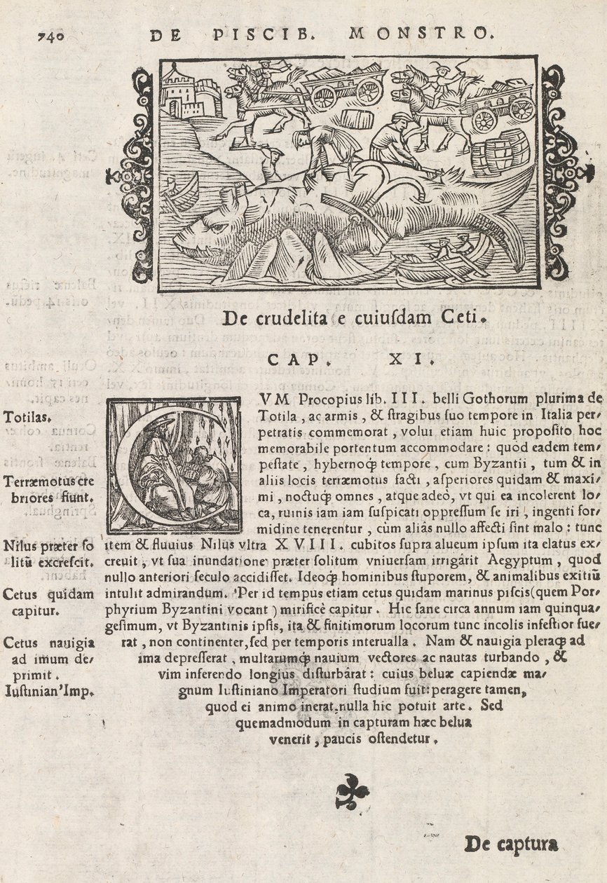 历史在由Magnus Olaus，罗马1565（打印和雕刻），740页，从北gentive 作者 意大利学校