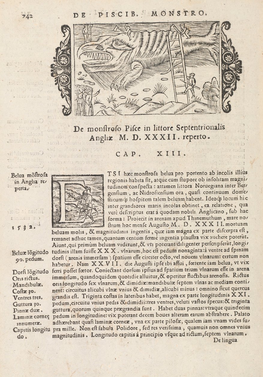 历史在由Magnus Olaus，罗马1565（打印和雕刻），742页，从北gentive 作者 意大利学校