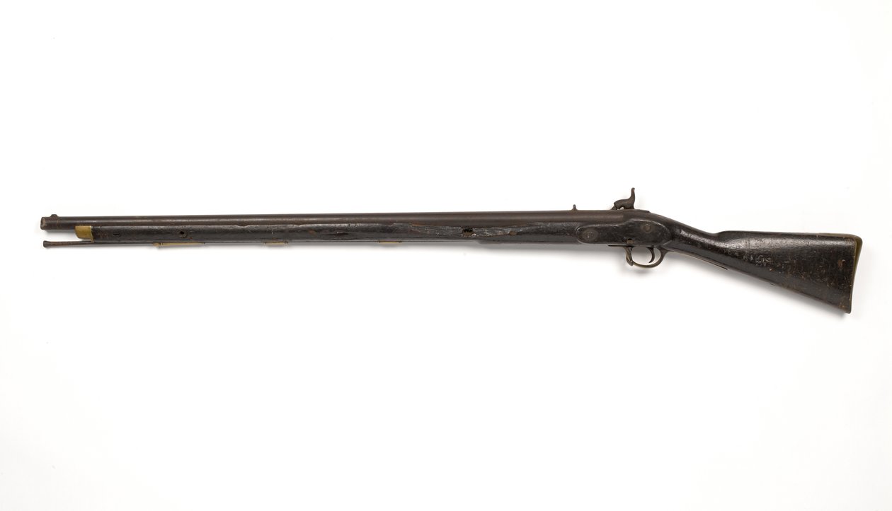 Pattern 1842 percussion musket 作者 意大利学校