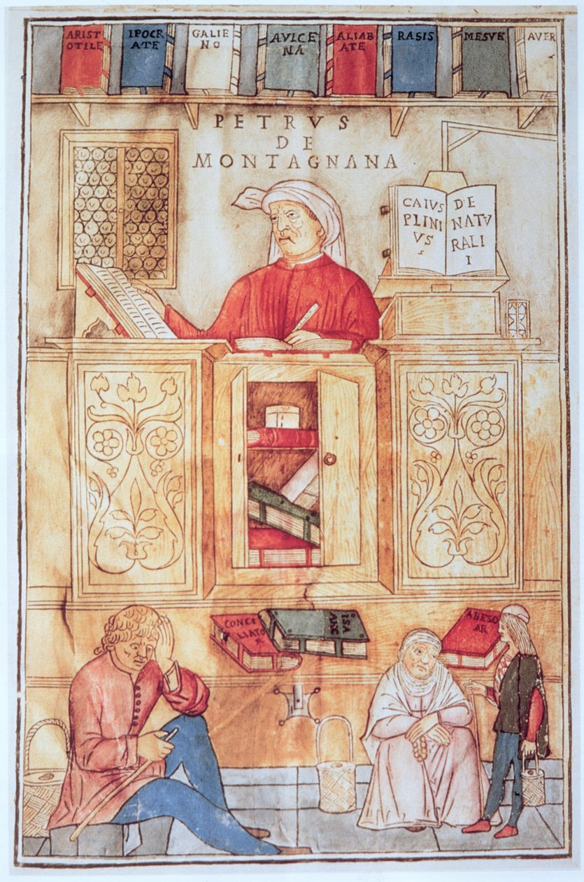 Petrus de Montagnana，来自 Jean de Ketham 所著《Fasciculus Medicinae》的插图，1495 年在威尼斯出版（彩色木刻） 作者 意大利学校