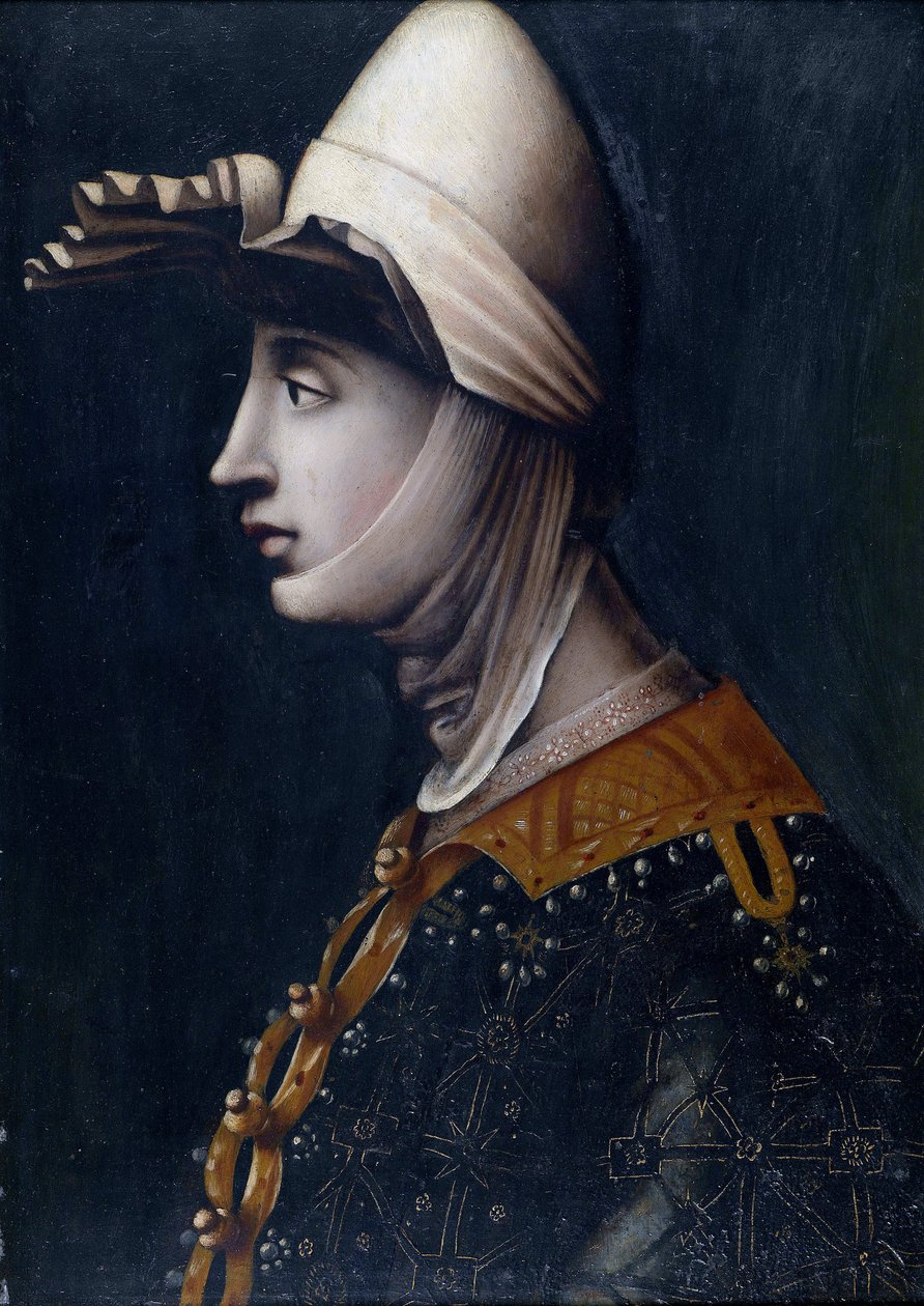 托斯卡纳的玛蒂尔德伯爵夫人的肖像，被称为德卡诺萨 (Mathilde de Briey) (1046-1115) (Matilde di Toscana) (Matilde di Canossa) - 托斯卡纳的玛蒂尔达，匿名者，16 世纪中期。 - 石上油，49,5x36 - 私人收藏 作者 意大利学校