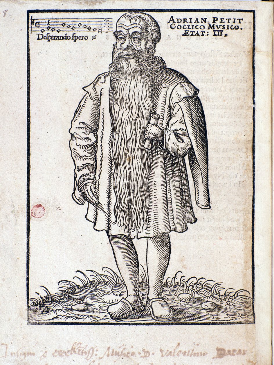 Adrianus Petit Coclico（1500-1562）的肖像文艺复兴时期的荷兰作曲家。 作者 意大利学校