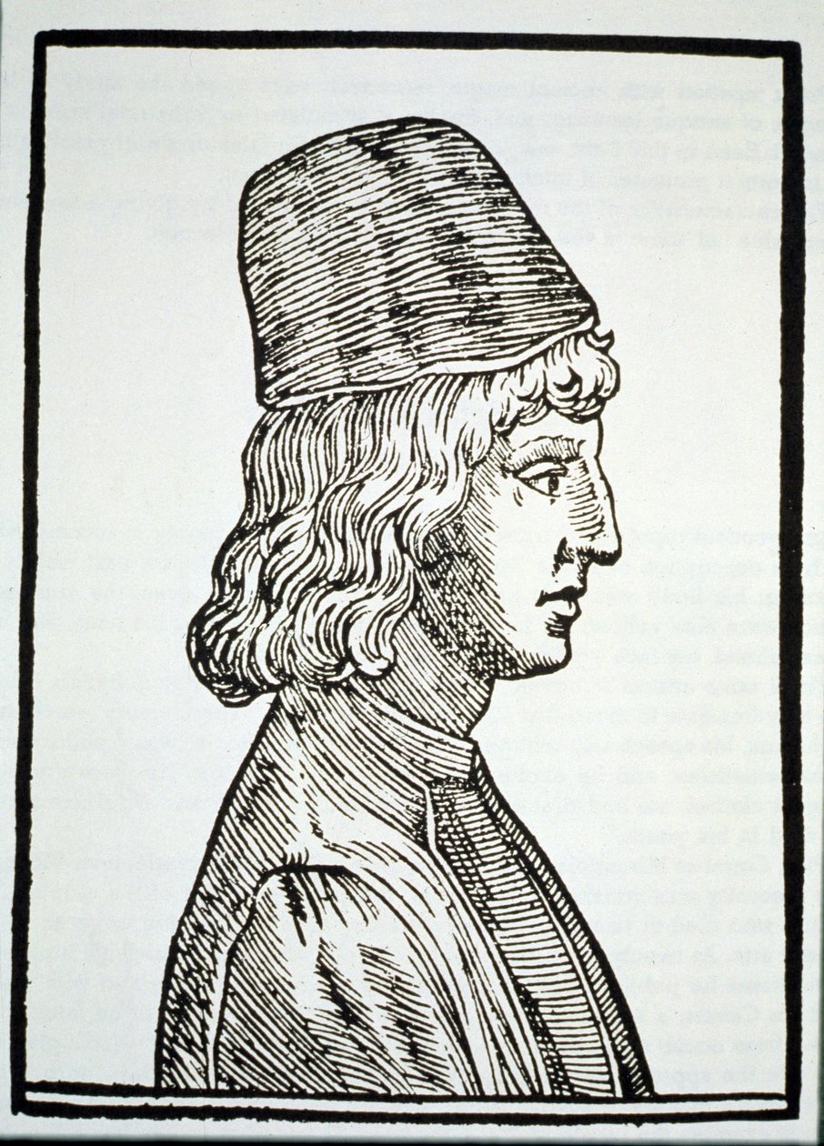 Pico della Mirandola（1463-94）的肖像，来自Delio Celeste Fisionomia的Giovanni Battista della Porta，Padua 1616，在19世纪后期出版的“魔法史”中有所体现 作者 意大利学校