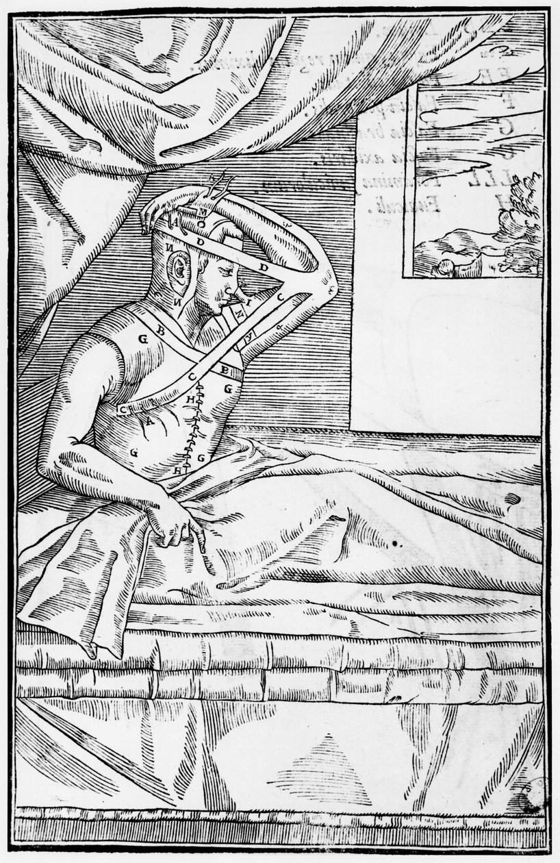 鼻子上的重建手术，来自De curtorum chirurgia的插图由Gaspare Tagliacozzi（1545-99）威尼斯出版，1597年出版 作者 意大利学校