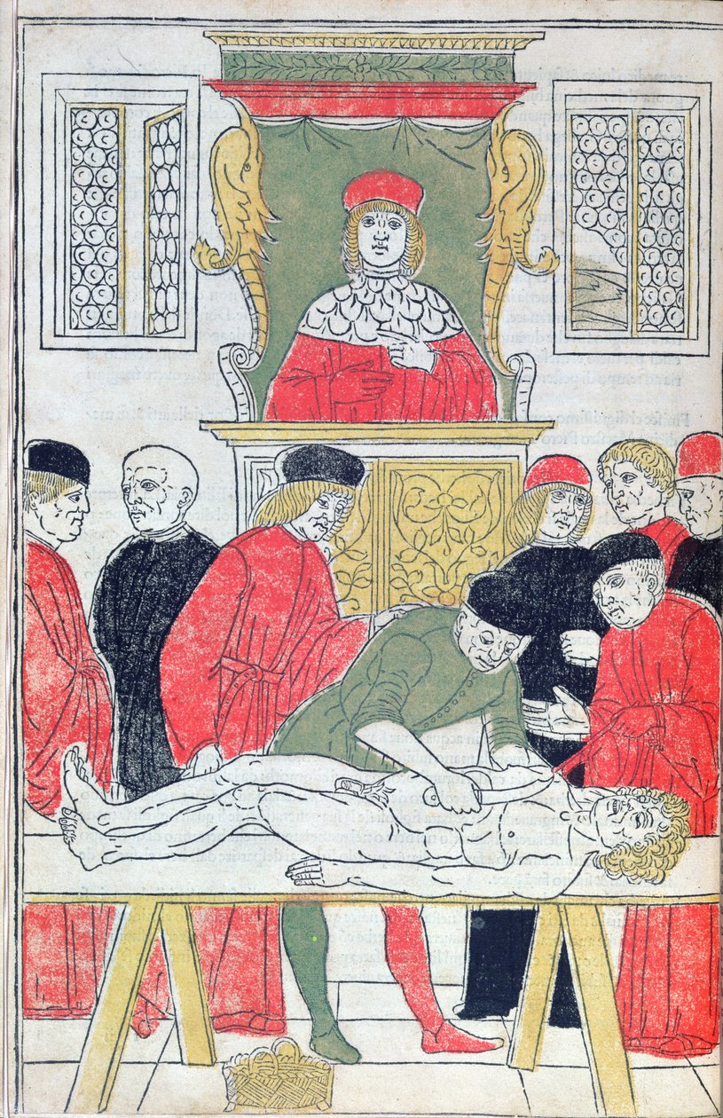 《解剖》，来自 Johannes de Ketham（d.c.1490）1493 年《医学束》的插图（木刻） 作者 意大利学校