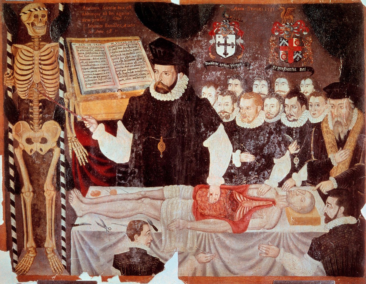 约翰·班尼斯特（John Banister，1533-1610）于 1548 年在理发外科医生大厅讲授的解剖学讲座 1580 年 Matteo Realdo Colombo（Renaldus Columbus）（1516-1559）1580 年巴黎，B.N. - 约翰·班尼斯特 (John Banister) (1533-1610) 给出了一个 ana 作者 意大利学校