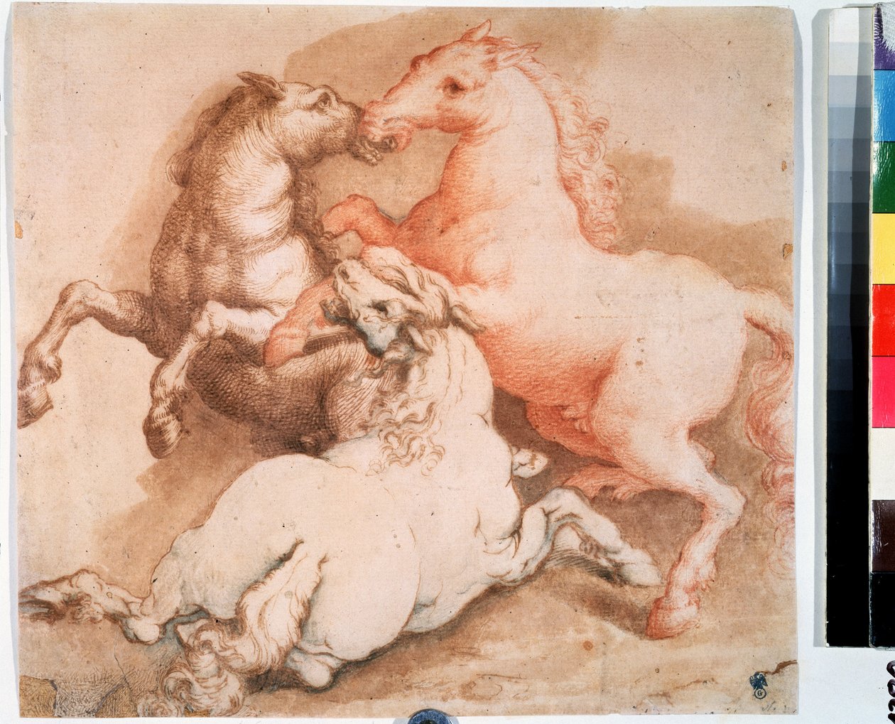 "Un combat de chevaux"（斗马）意大利笔墨画。1550-1600 年 莫斯科普希金博物馆 作者 意大利学校