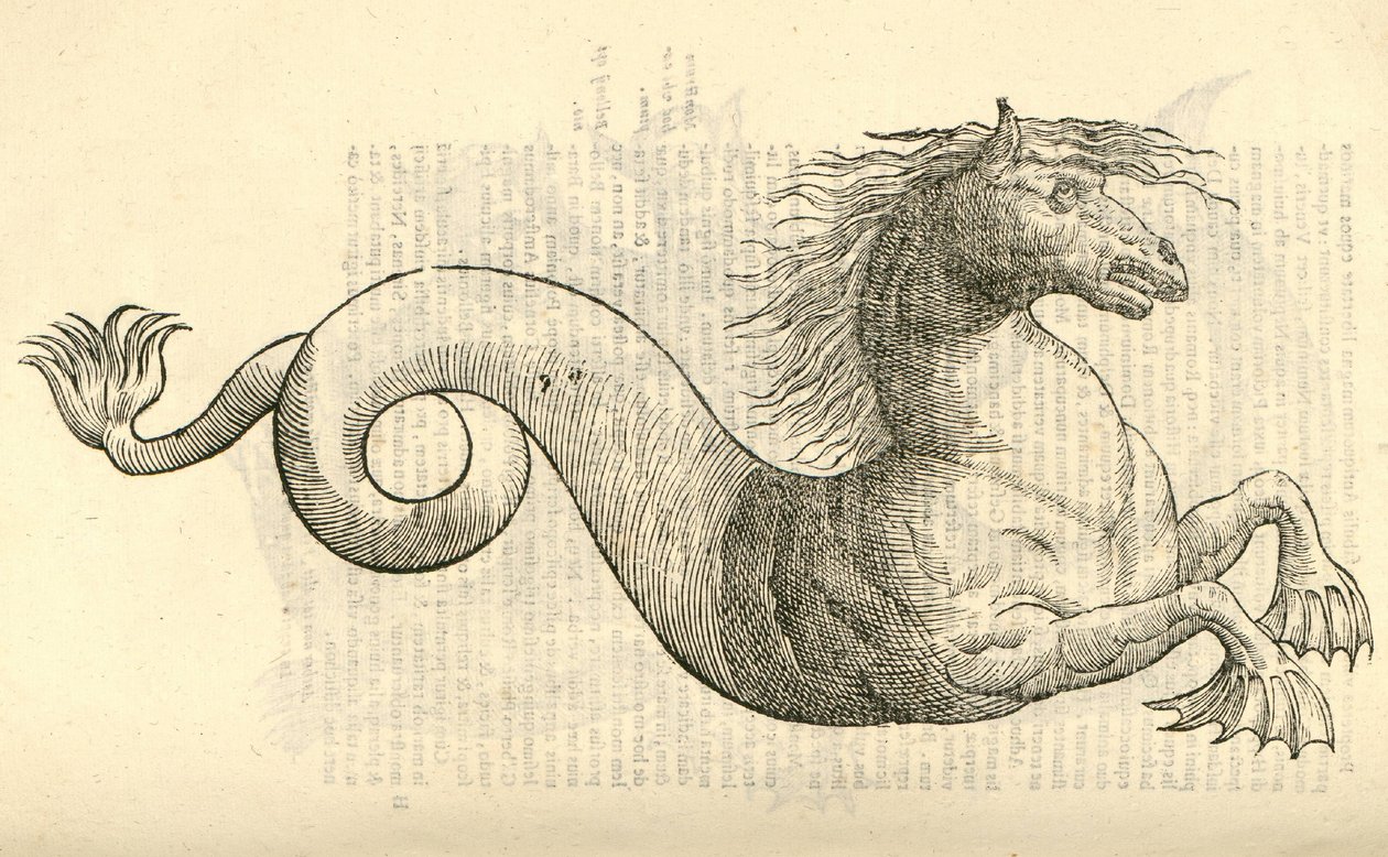 Equus marinus monstrosus的例证从Aldrovandis历史的怪物，1642年 作者 意大利学校