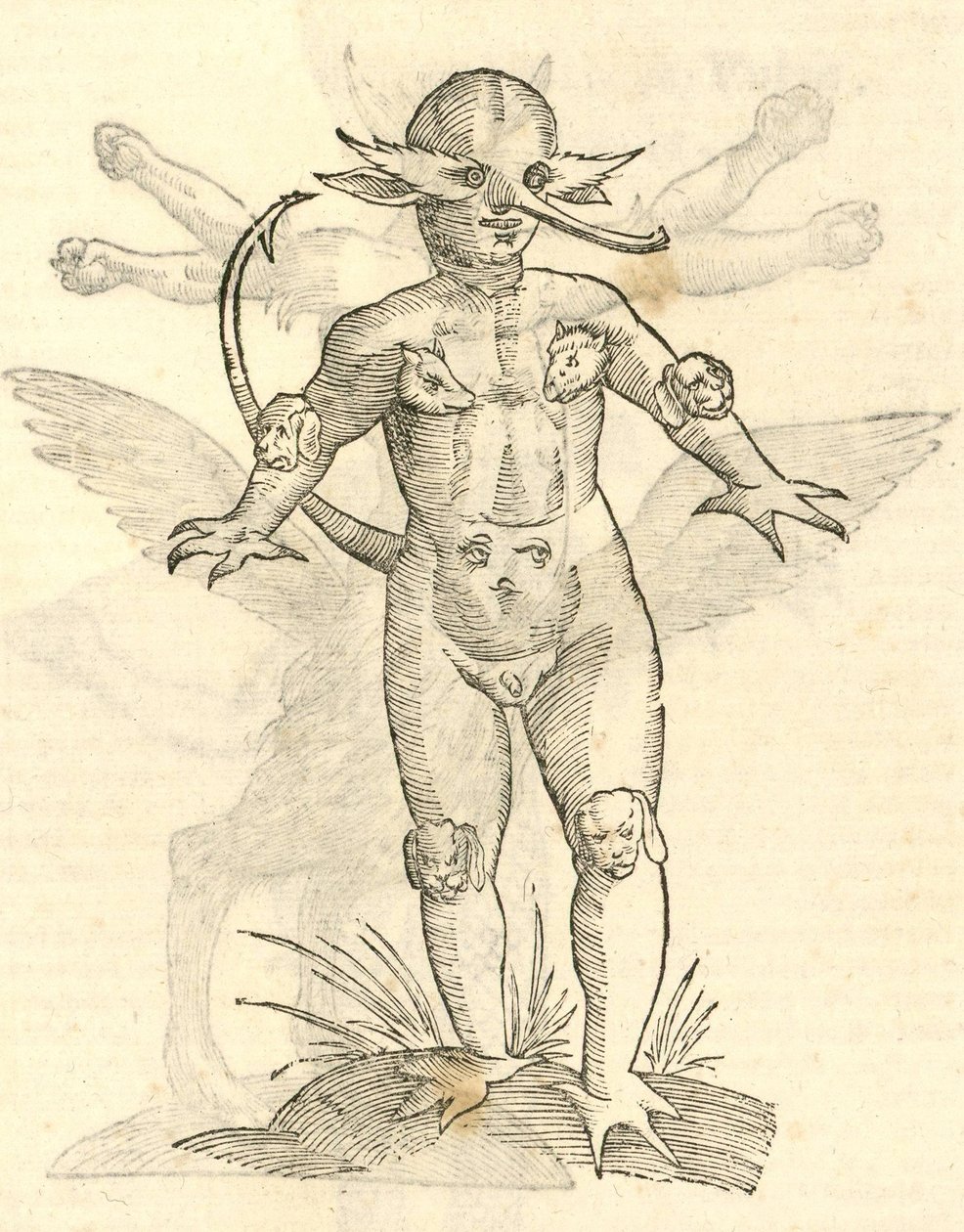 动物的婴儿说明从怪兽的kazakovae历史，1642 作者 意大利学校