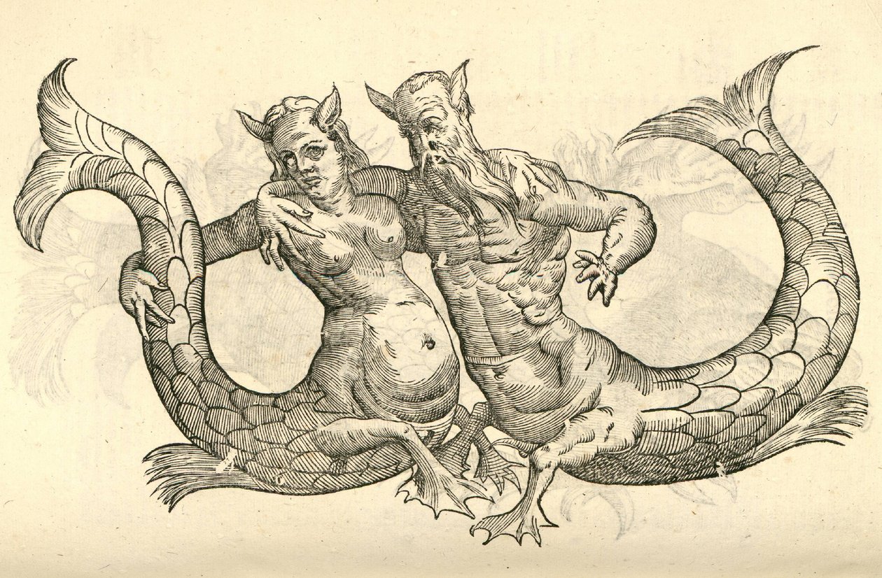 Monstra Niliaca Parei的插图来自Aldrovandis的怪物历史，1642年 作者 意大利学校