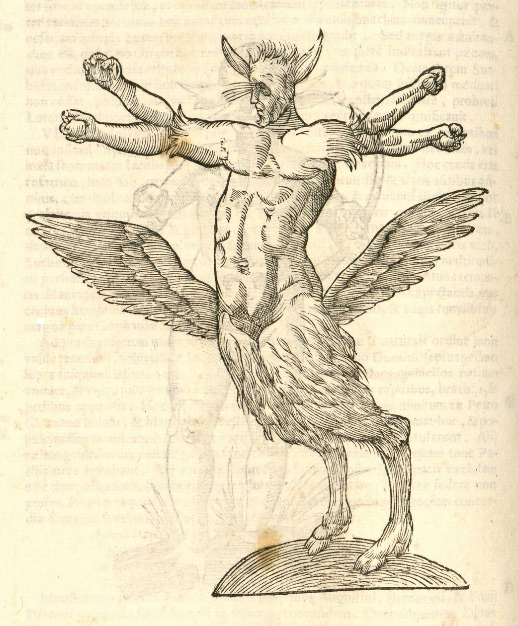 tetrachiron人类的怪物翅从图示怪兽kazakovae历史，1642耳 作者 意大利学校