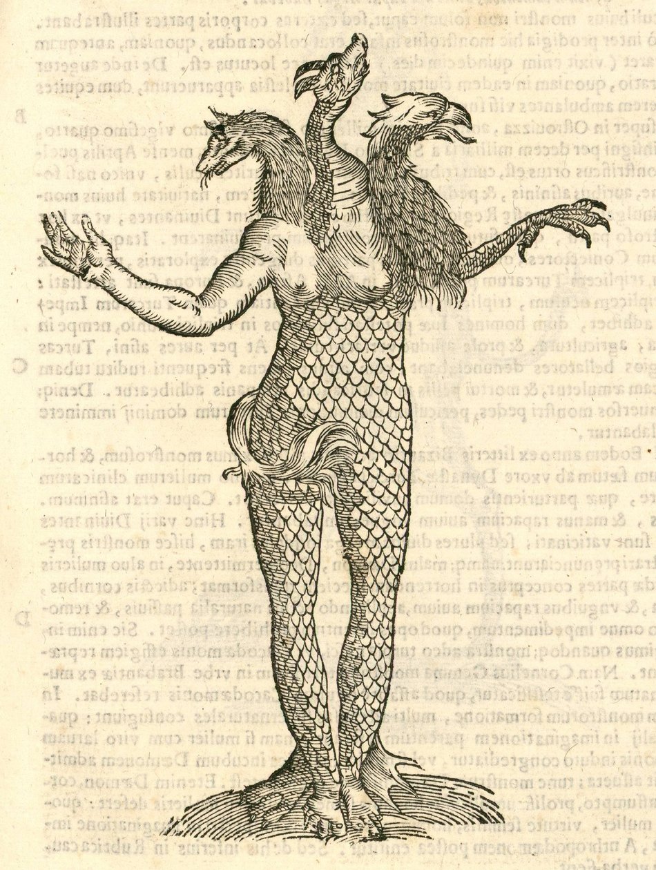 从怪物的kazakovae历史，1642年三头怪兽狐龙与Aquila的插图 作者 意大利学校