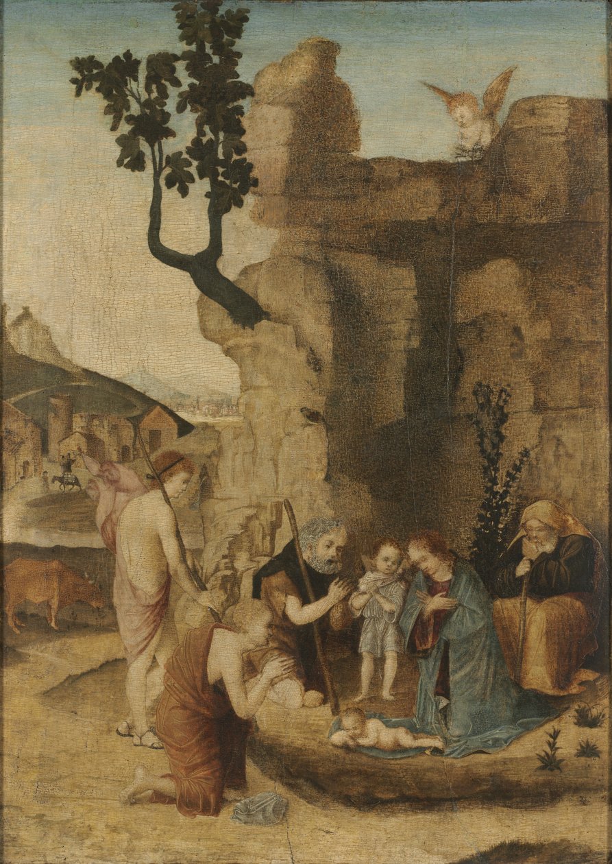 牧羊人的崇拜，c。 1500（木板油画） 作者 意大利学校