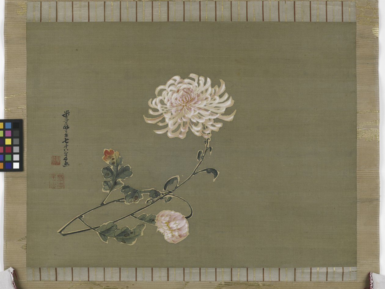 江户时代的菊花，1791年（丝绸上的墨水和颜色） 作者 伊藤雅作