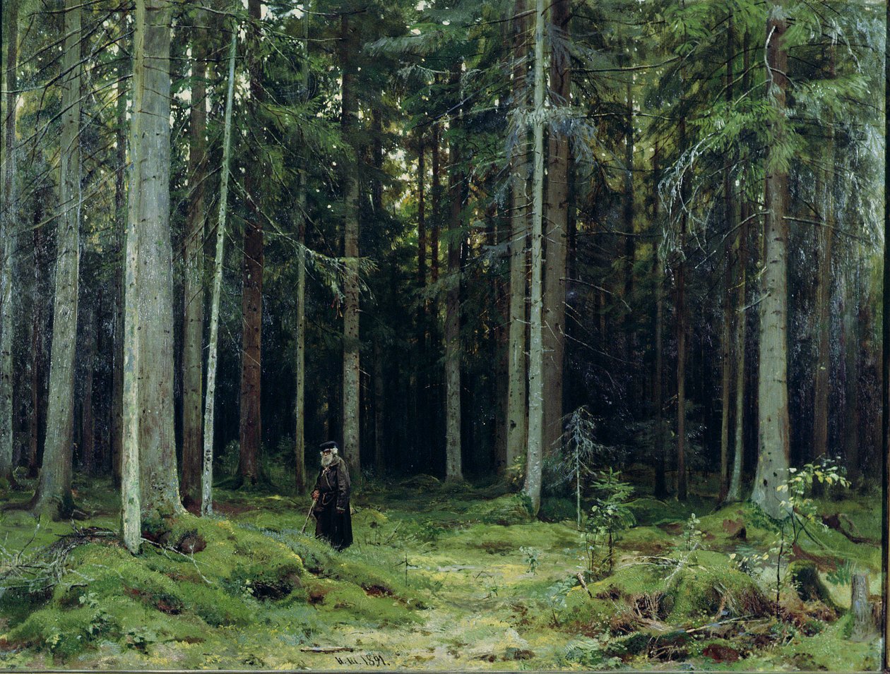 伯爵夫人Mordvinov&39;s Forest，1891年 作者 伊万·伊万诺维奇·希什金