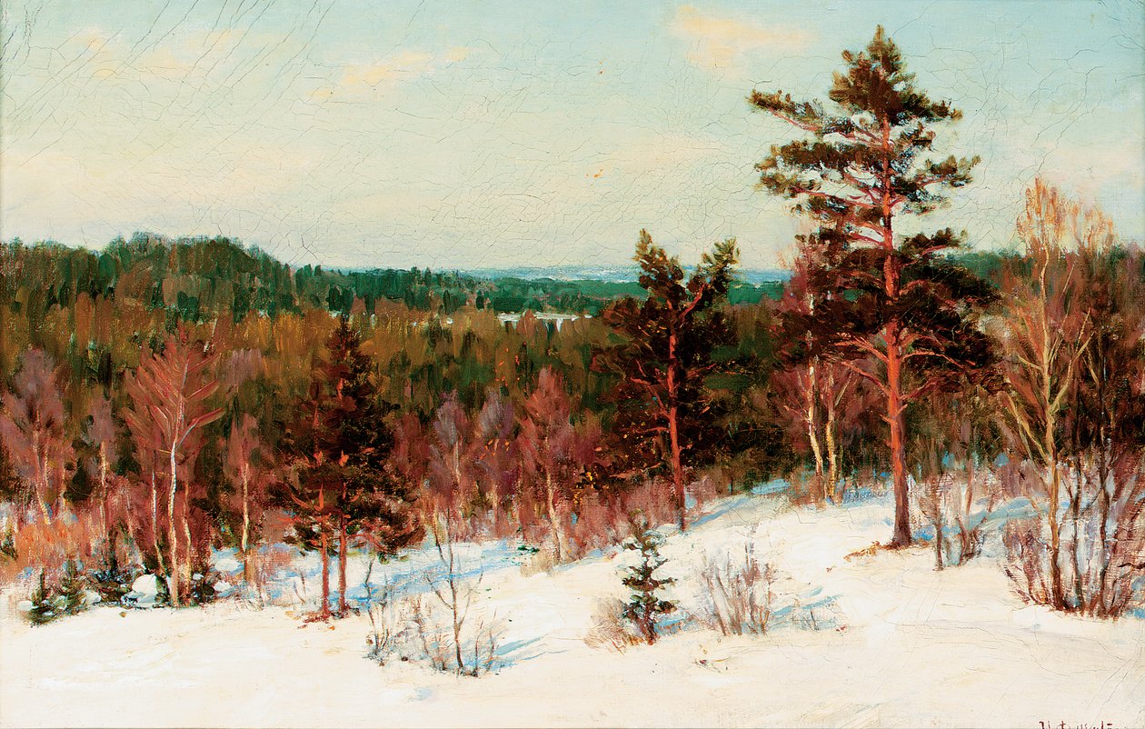 冬季-俯瞰森林 作者 伊凡（Ivan Fedorovich Choultse）